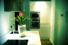 268842_125038987585827_2880528_n